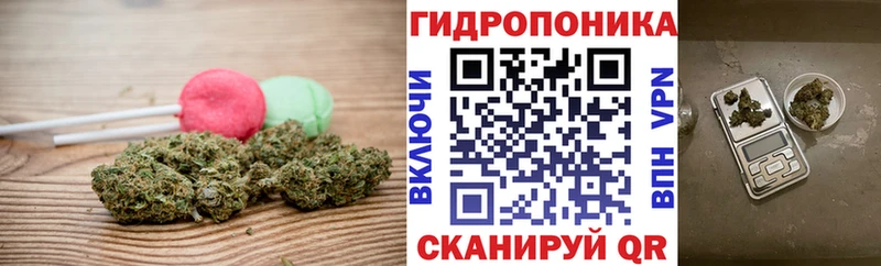 Cannafood конопля  Купить где  Нарьян-Мар 