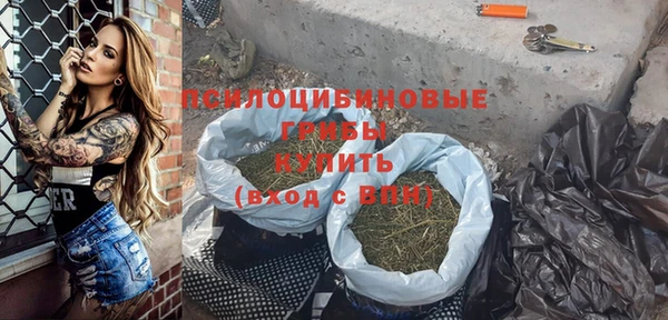 мдпв Верея