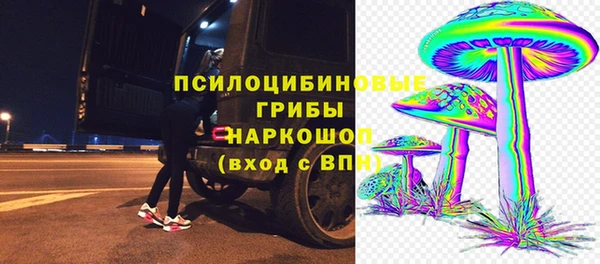 мдпв Верея